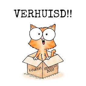 Felicitatie nieuwe woning - kitten in verhuisdoos