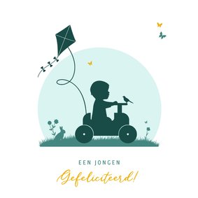 Felicitatie silhouet jongen in auto met vlieger