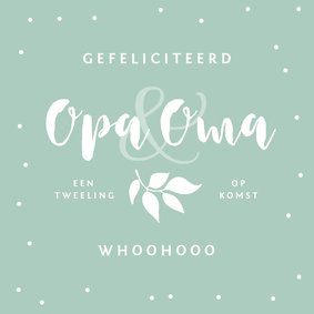 Felicitatie tweeling op komst opa en oma jongen meisje