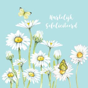 Felicitatie voorjaarsmargrieten