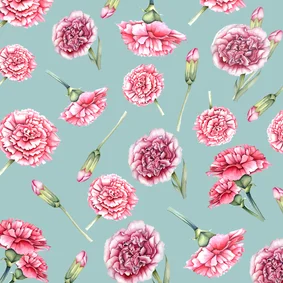 Felicitatiekaart bloemen met anjers en vlinders