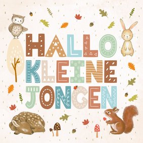 Felicitatiekaart dieren hallo kleine jongen