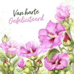 Felicitatiekaart felicitatie roze hibiscus