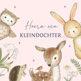 Felicitatiekaart geboorte - bosdieren lente kleindochter