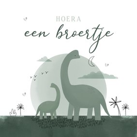 Felicitatiekaart geboorte broertje dinosaurussen jungle