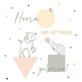 Felicitatiekaart geboorte hertje egel vlinder meisje