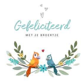 Felicitatiekaart geboorte jongen broertje zus dieren vogels