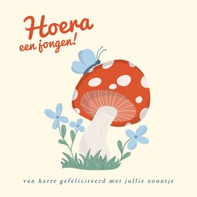  Felicitatiekaart geboorte jongen vlinder en paddenstoel