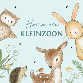 Felicitatiekaart geboorte - kleinzoon bosdieren lente