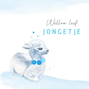 Felicitatiekaart geboorte lama jongen