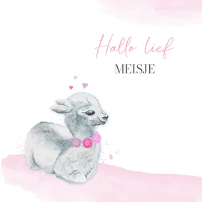 Felicitatiekaart geboorte lama