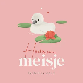 Felicitatiekaart geboorte lief zwaantje 