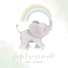 Felicitatiekaart geboorte met olifantje en regenboog zoon