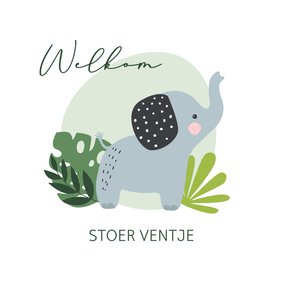 Felicitatiekaart geboorte - olifant jongen jungle