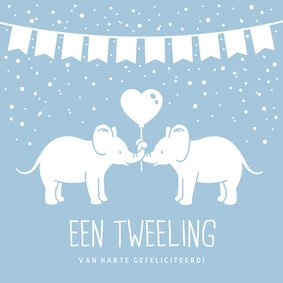 Felicitatiekaart geboorte tweeling 2 jongens met olifantjes