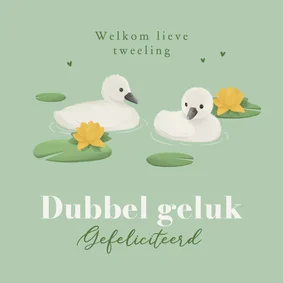 Felicitatiekaart geboorte tweeling dieren zwanenkuikens