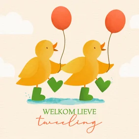 Felicitatiekaart geboorte tweeling met kuikens