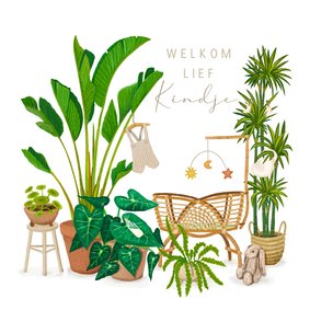 Felicitatiekaart geboorte wiegje tussen de planten 