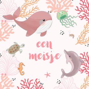 Felicitatiekaart geboorte zeedieren koraal roze