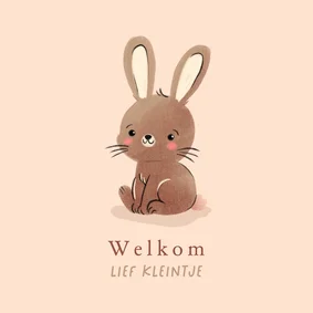 Felicitatiekaart kindje geboren lief bruin konijntje
