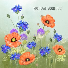 Felicitatiekaart klaprozen en korenbloemen