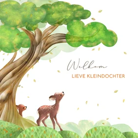 Felicitatiekaart kleinkind met hertjes