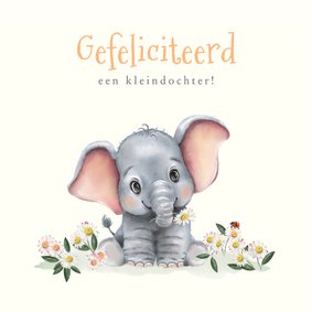 Felicitatiekaart kleinkind met olifantje