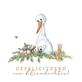 Felicitatiekaart kleinkind met ooievaar