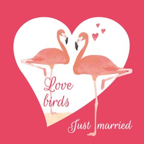 Felicitatiekaart Love birds flamingo's