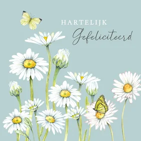 Felicitatiekaart magrieten met vlinders