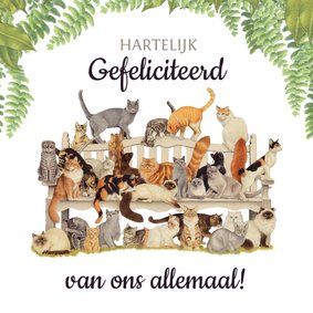 Felicitatiekaart met gezellige beestenboel!