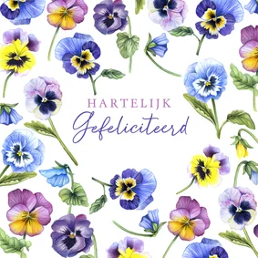 Felicitatiekaart met veel viooltjes