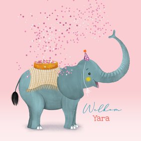 Felicitatiekaart olifant met beschuit en muisjes