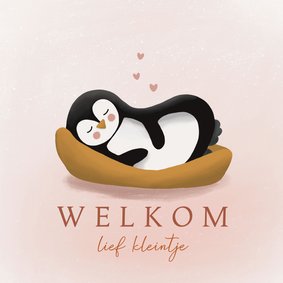 Felicitatiekaart slapende baby pinguïn geboorte meisje