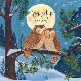 Felicitatiekaart twee uiltjes in maanlicht huwelijk