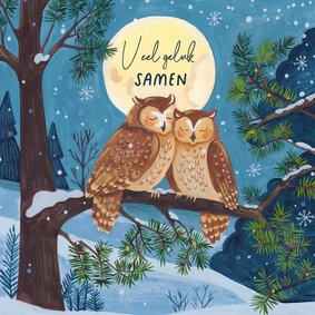 Felicitatiekaart twee uiltjes in maanlicht huwelijk