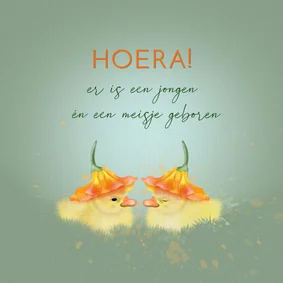 Felicitatiekaart tweeling eendjes onder bloemkelk
