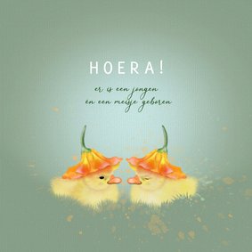 Felicitatiekaart tweeling eendjes onder bloemkelk