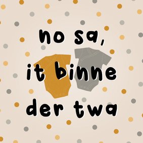 Felicitatiekaart tweeling fries 'no sa, it binne der twa'