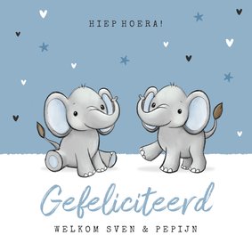 Felicitatiekaart tweeling jongens geboorte baby olifantjes