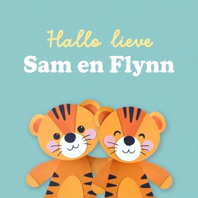 Felicitatiekaart tweeling tijgertjes