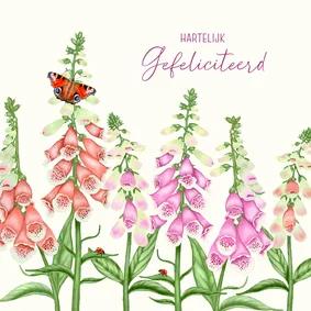 Felicitatiekaart vingerhoedskruid