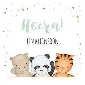 Felicitatiekaart voor kleinzoon met drie safari diertjes