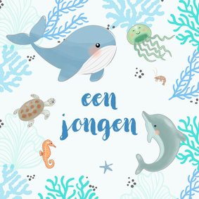 Felicitatiekaart zeedieren koraal geboorte 