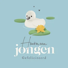 Felicitatiekaart zwaan kuiken baby geboren jongen lief