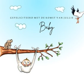 Felicitatiekaarten baby in luier aan boomtak