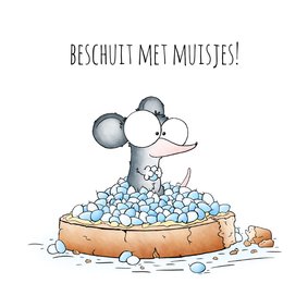 Felicitatiekaartje beschuit met muisjes jongen