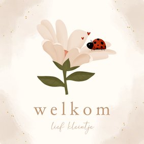 Felicitatiekaartje bloem en lieveheersbeestje geboorte