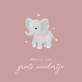 Felicitatiekaartje geboorte met olifant meisje
