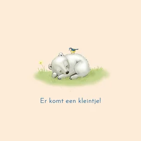 Felicitatiekaartje ijsbeertje met pimpelmees